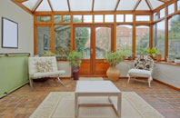 free Shirley Warren conservatory quotes